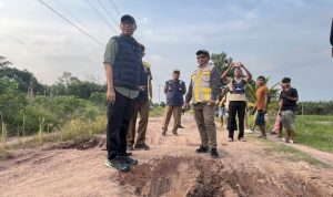 image_750x_69a6eb1e36e12